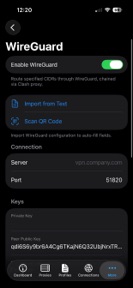AMEO Clash VPN screenshot