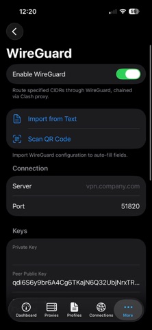 AMEO Clash VPN Screenshot 4 of 6