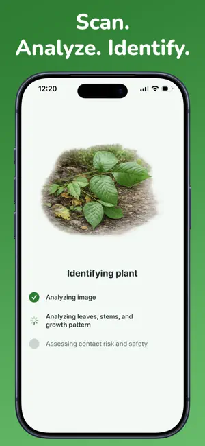 Poison Ivy Identifier screenshot 2