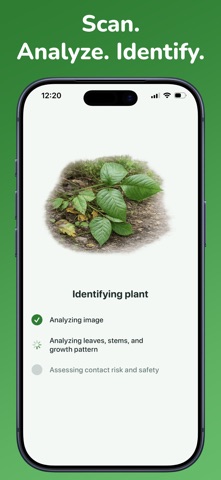 Poison Ivy Identifier screenshot