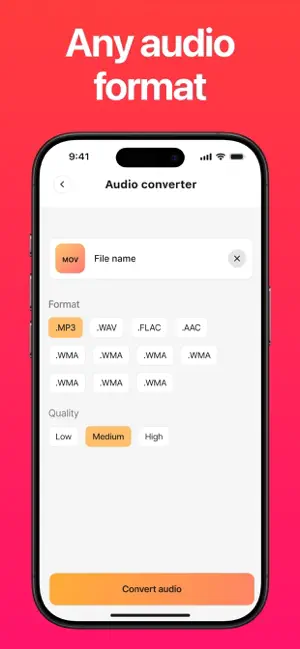 Audio Converter MP3, MP4, WAV screenshot 2