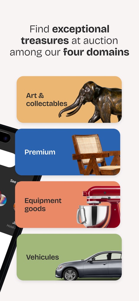 Interencheres - Online sales - Users can effortlessly navigate a diverse range of auction categories, from 'Art & collectables' to 'Vehicules', presented through intuitive, clearly labeled domains.