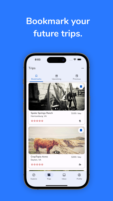 Bluebirding Screenshot