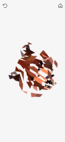 PolyTwist - 3d Poly Puzzle screenshot