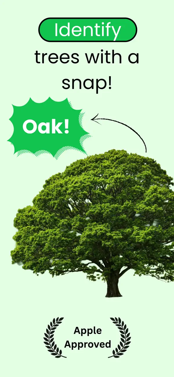 Screenshot #1 pour Tree Leaf Identifier: ID Trees