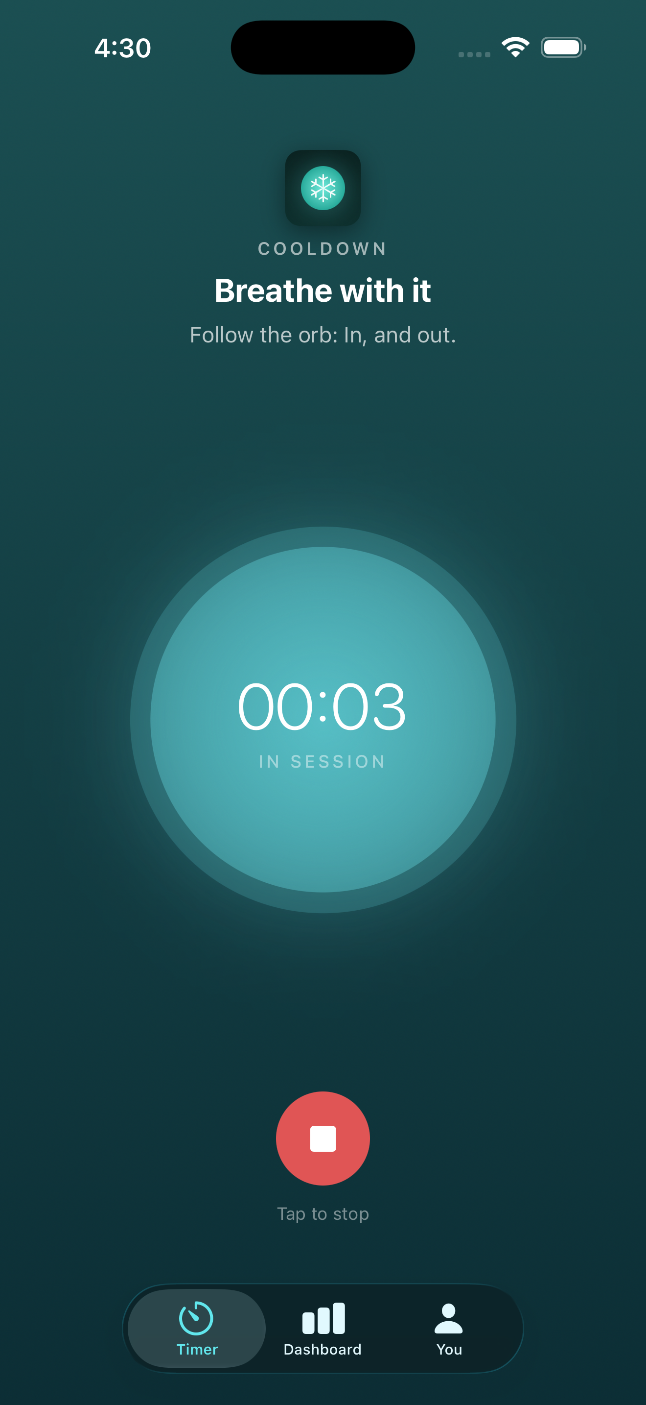 Cooldown Timer