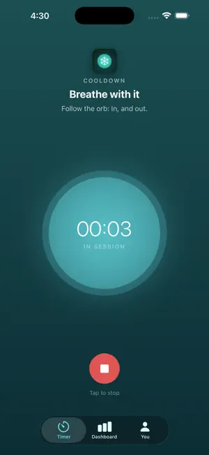 Cooldown Timer screenshot 4