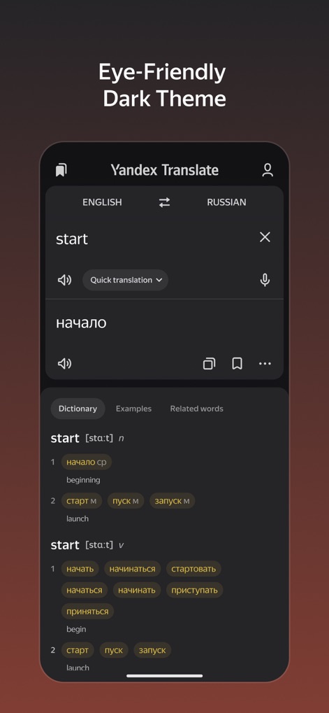 Yandex Translate - The app offers an eye-friendly dark theme, showcasing a sleek dark interface with contrasting light text for comfortable viewing in low-light environments.