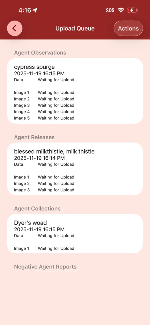 Screenshot #3 pour EDDMapS Biocontrol