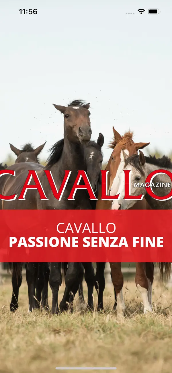 Screenshot #1 pour Cavallo Magazine