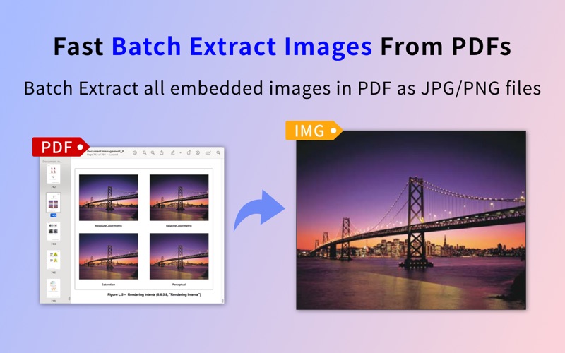 Batch Extract PDF Images Pro app screenshot