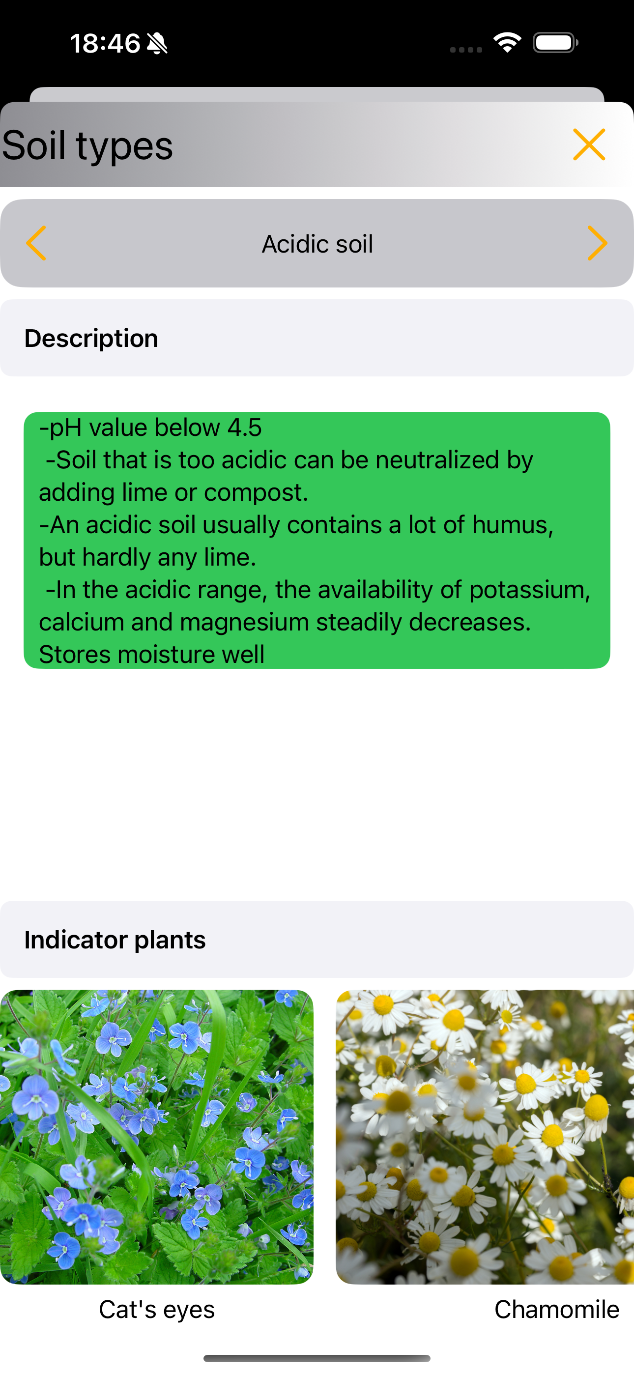 Mein Garten Tagebuch