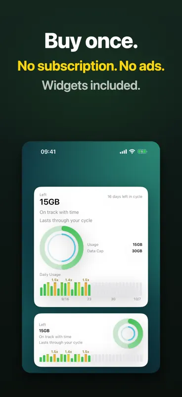 Data Widget: remaining data screenshot 1 of 5