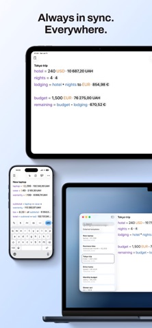 Calculo: Equation Calculator Screenshot 10 of 10
