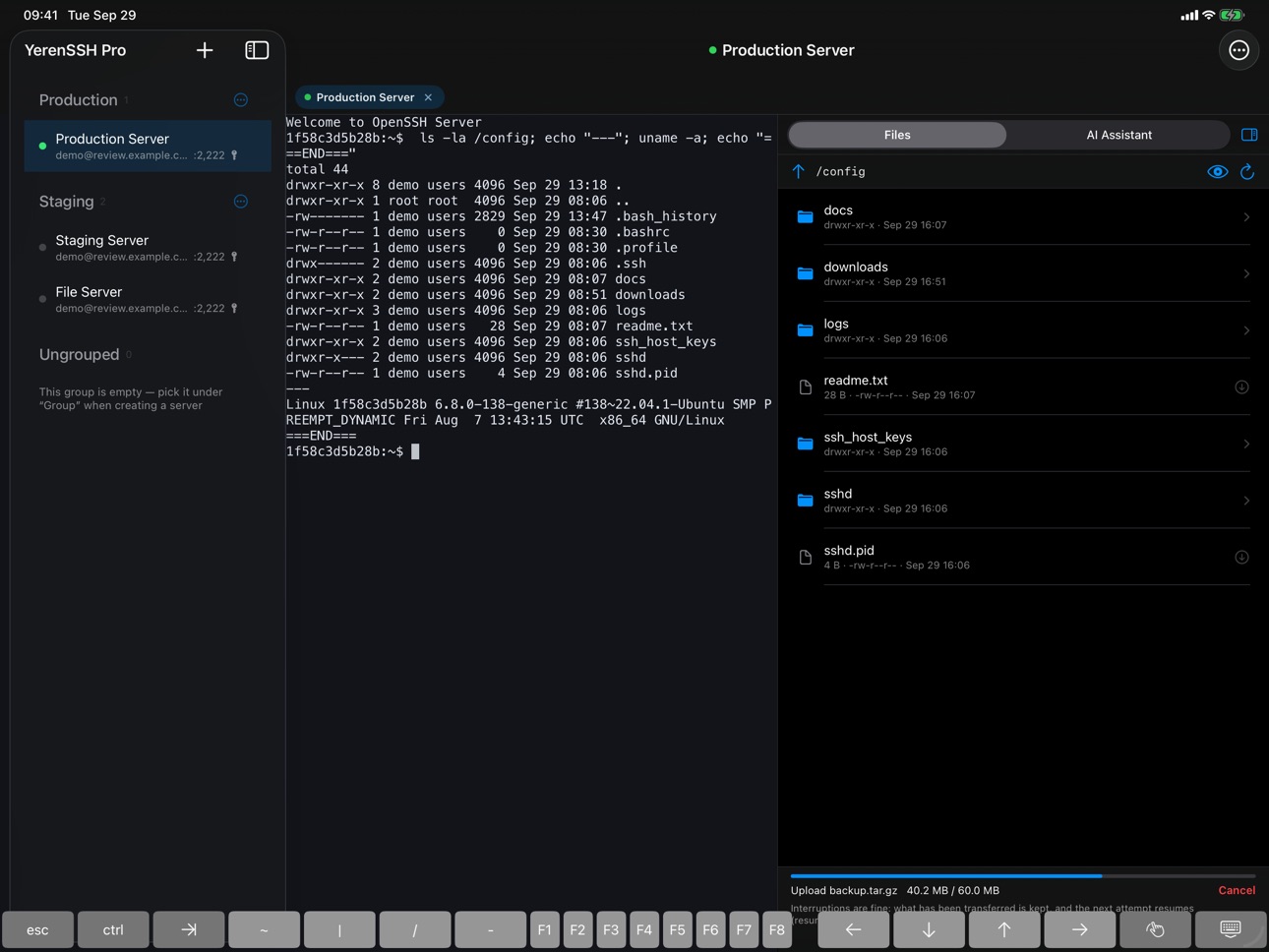 Screenshot 10 of YerenSSH Pro