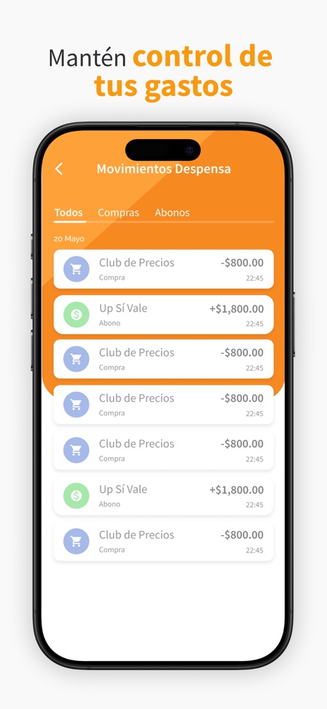 UP Sí Vale - This tool provides a comprehensive list of "Movimientos Despensa," allowing users to filter by "Compras" and "Abonos" for easy expense management.