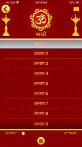 Bhagavad Gita in 11 Languages screenshot