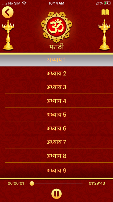 Bhagavad Gita in 11 Languages Screenshot