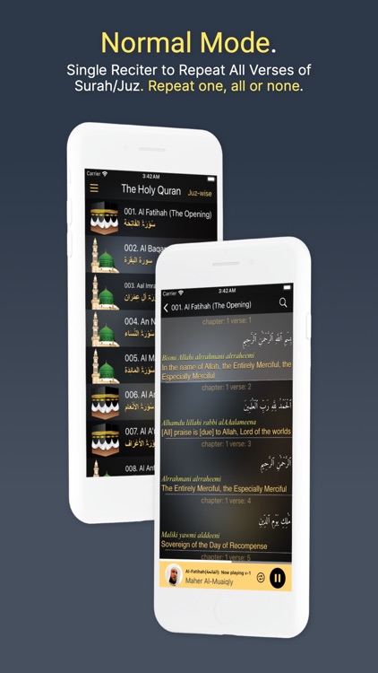 Holy Quran | القرآن الكريم