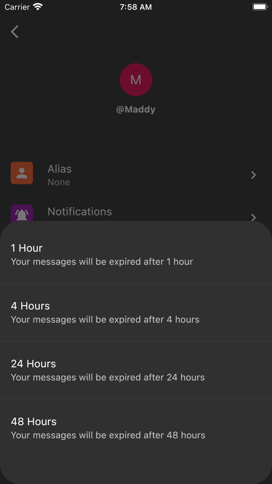 #3. Hush Messenger - Private Text (iOS) 由: MYRIADLOOP PTE. LTD.