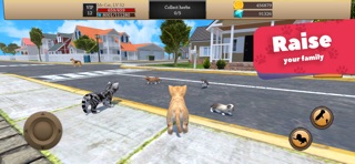 Cat Simulator 3D - Animal Life iPhone screenshot
