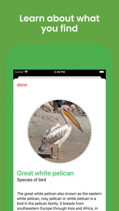 Naturify Lite Screenshot