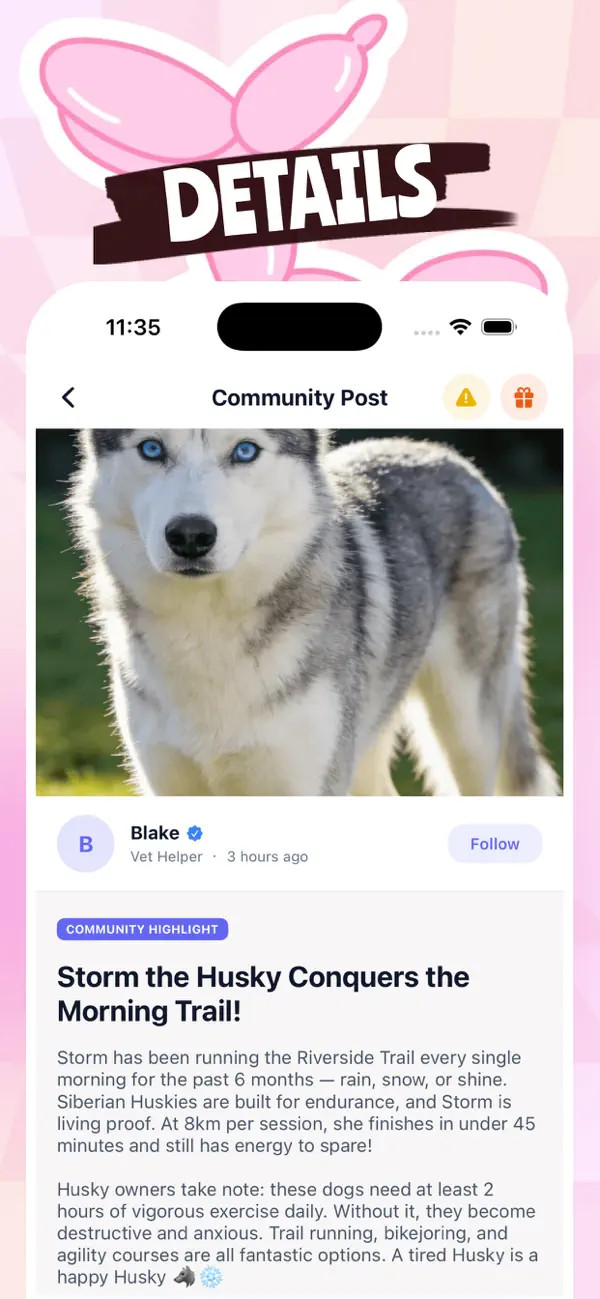 #2. Kopet (iOS) 来自: Hung Nguyen Yen