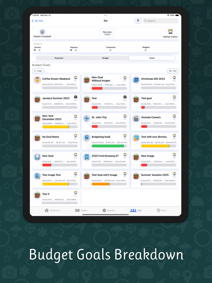 Budget  Expense  SavingPalz