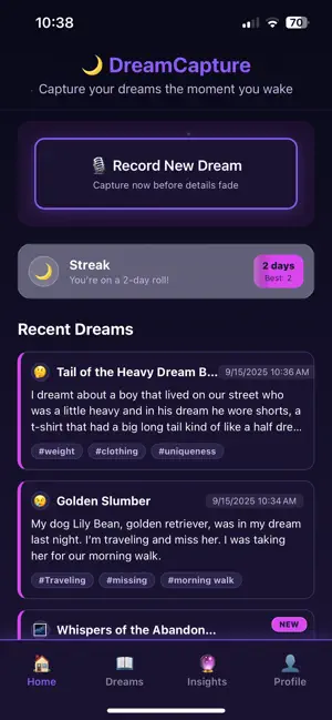 Dream Capture* screenshot 1
