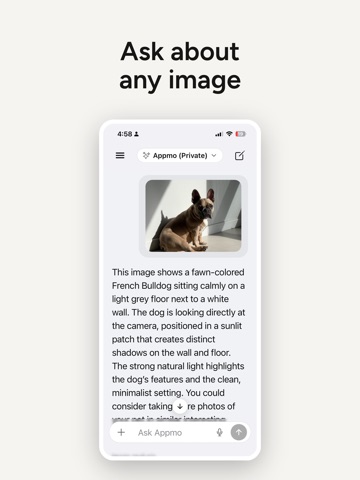 Appmo - AI Assistant iPad screenshot