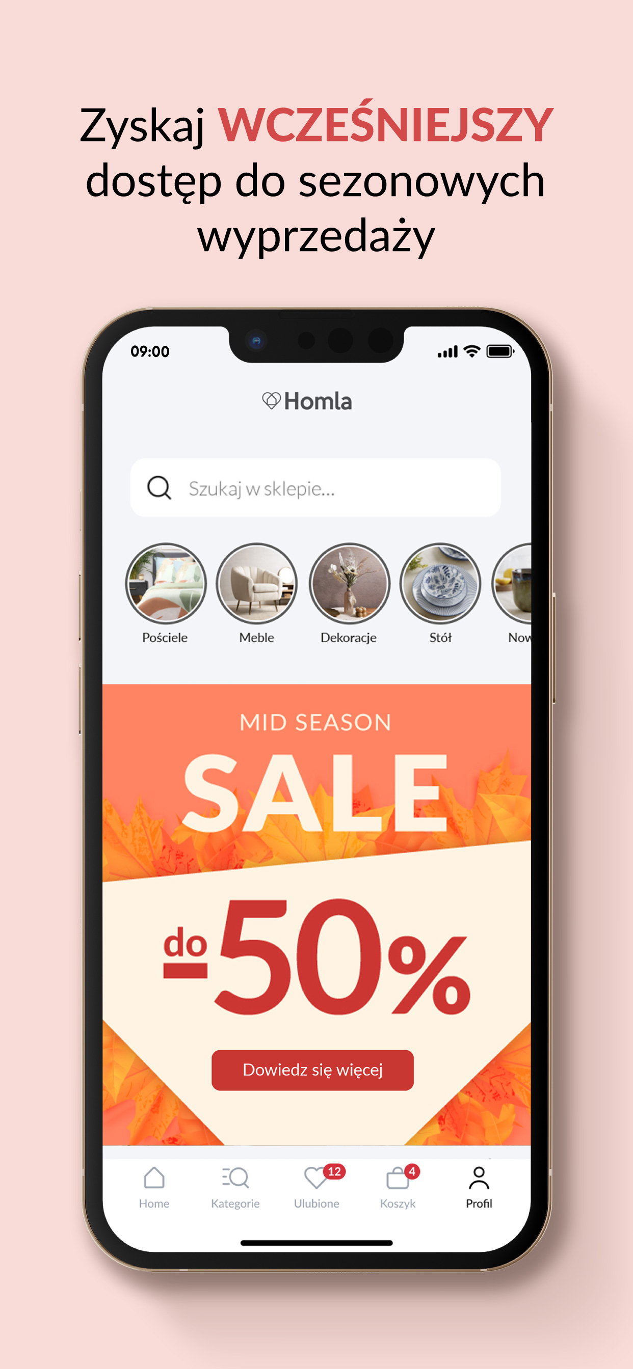 Flux Kontext - AI Image Editor