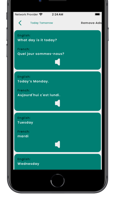 Learning French Language Screenshot