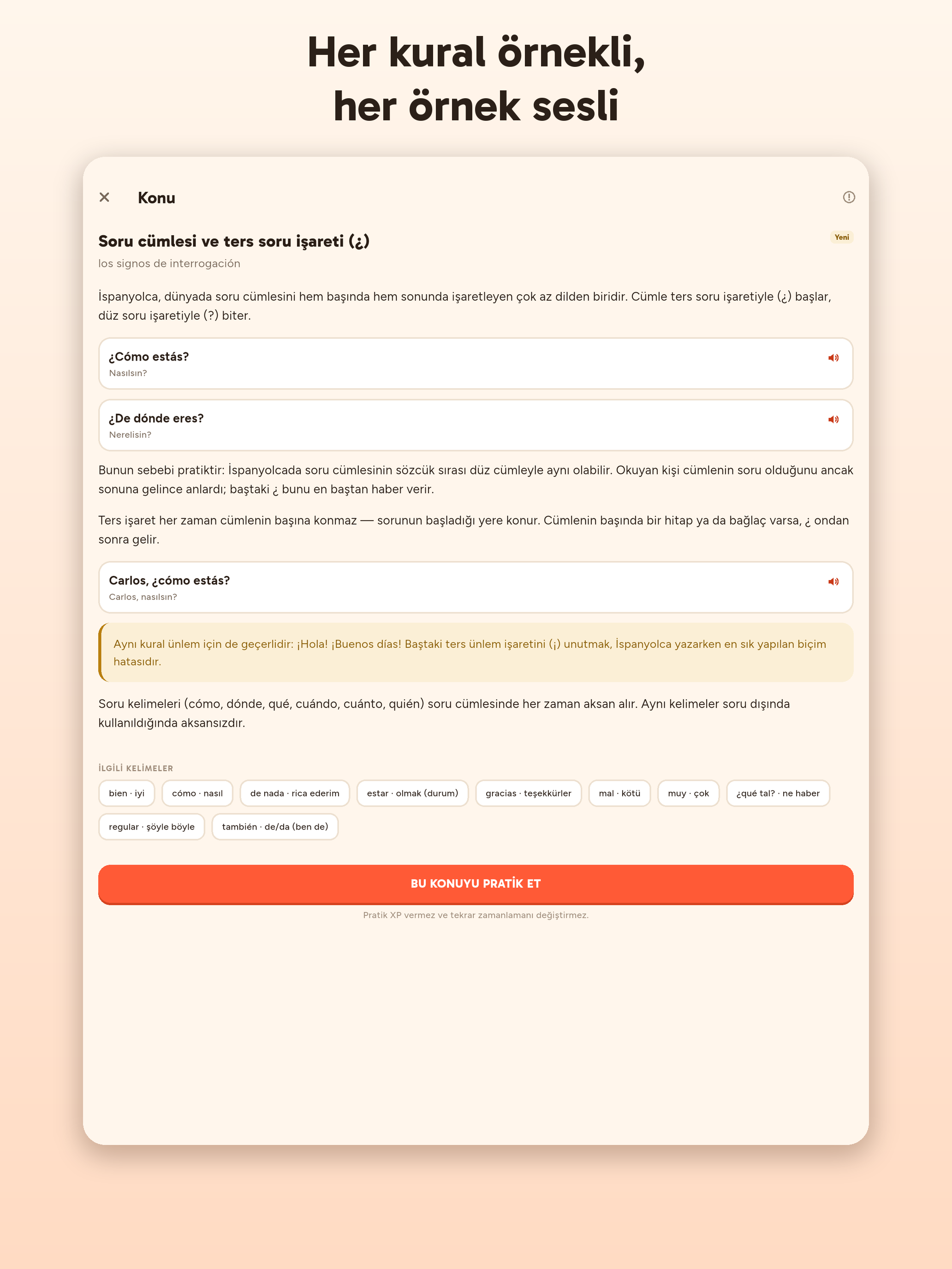 Dilo screenshot 11