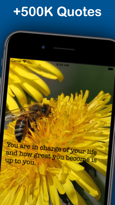 MotivAi: Daily Quotes Screenshot