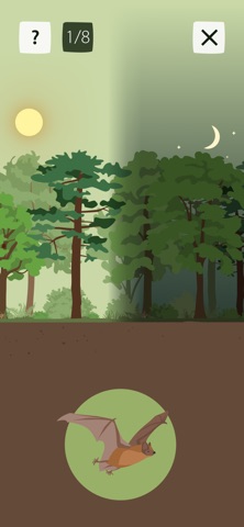 Wald-Zeit-Reise iPhone screenshot