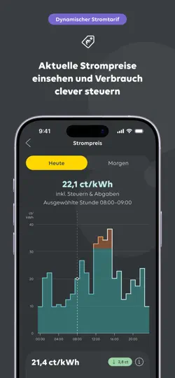Screenshot von Mein EWE Energie auf dem iPhone 5