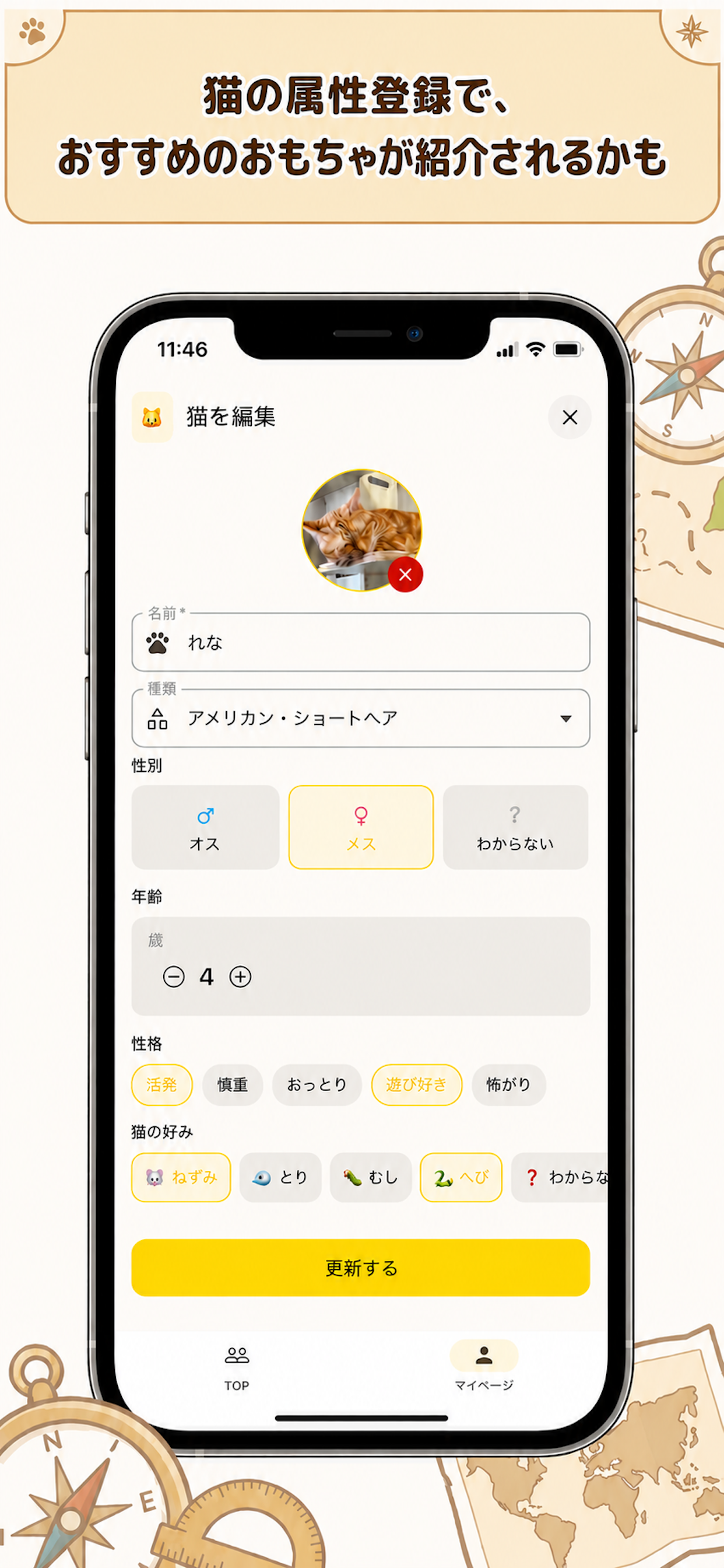 猫のおもちゃ探し隊