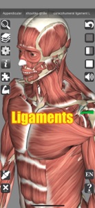 3D Anatomy screenshot #7 for iPhone