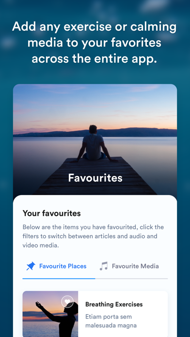 SafeHaven Screenshot