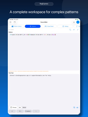 RegExpress ipad screenshot 4