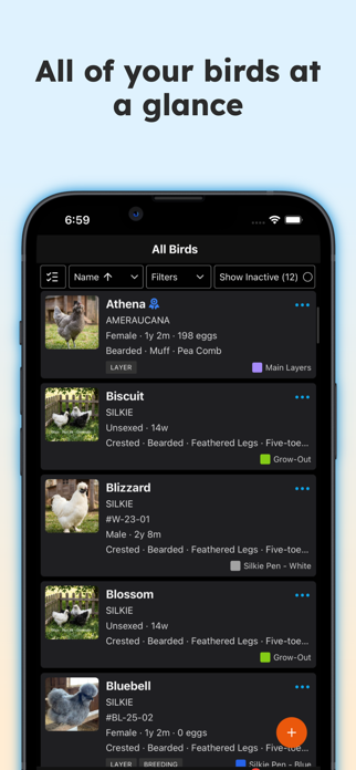 Flockstar Screenshot 2 of 10