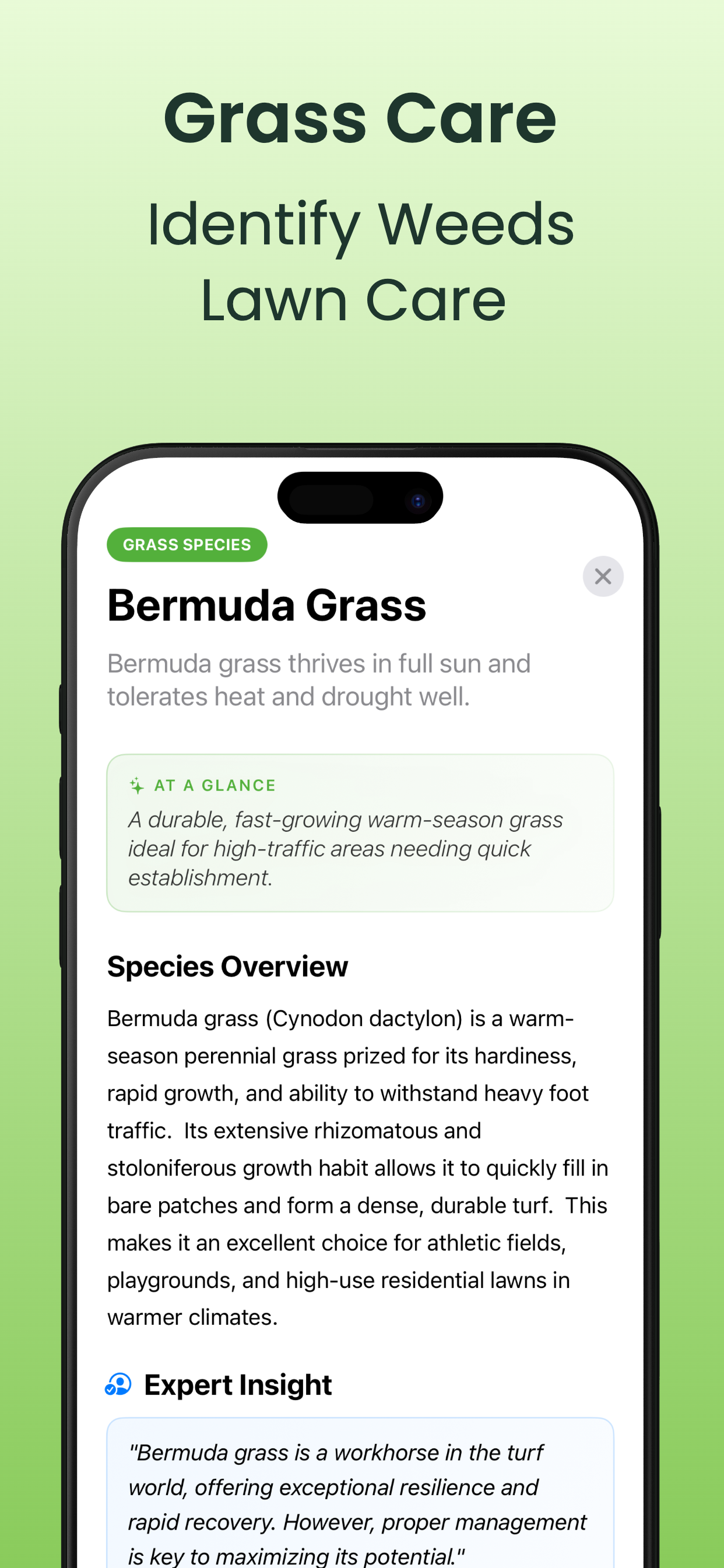 Grass Identifier - Lawn Care