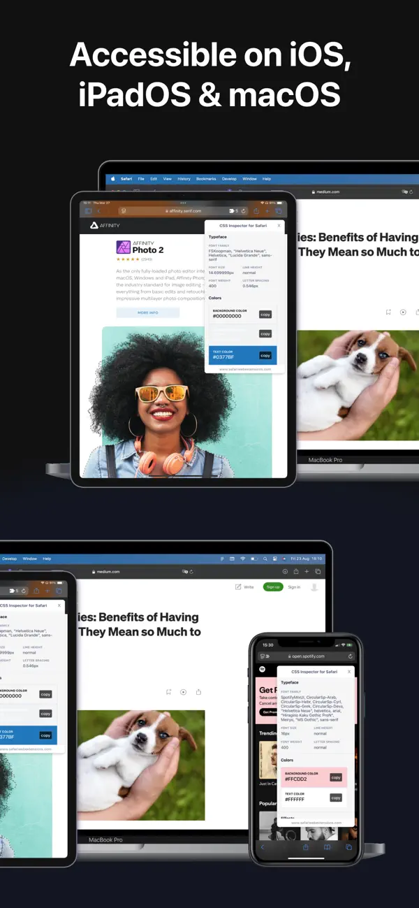 #3. CSS Inspector for Safari (iOS) 来自: Alfredo Grassau