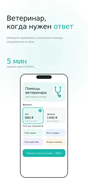 PetyPat: здоровье питомца screenshot 4