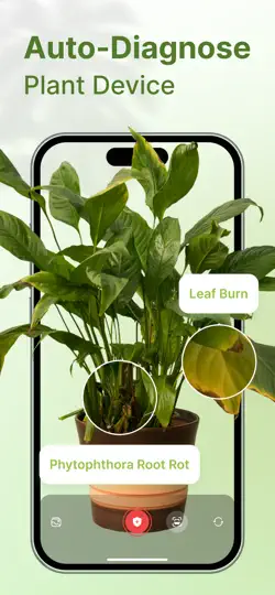 Скриншот PlantCare: Guide Identifier на iPhone 3