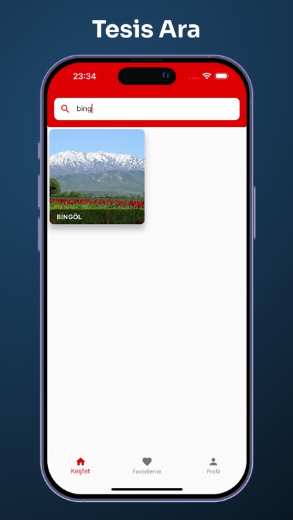 bulyerini screenshot-6