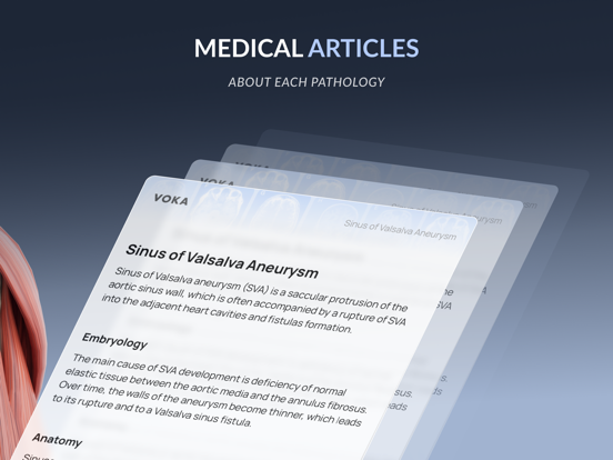 Screenshot #6 pour VOKA 3D Anatomy & Pathology