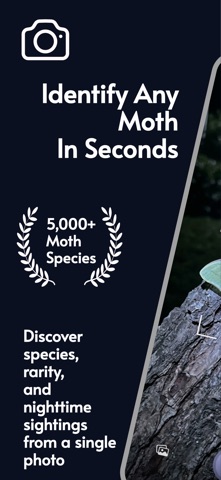 Moth Identifier: AI Insect ID Screenshot 1 of 5