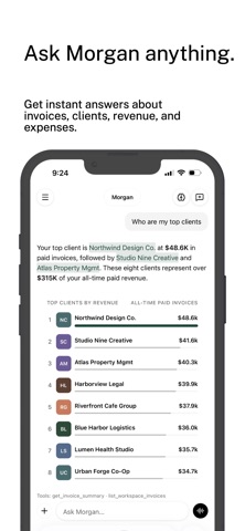 Morgan AI: Business Payments iPhone screenshot