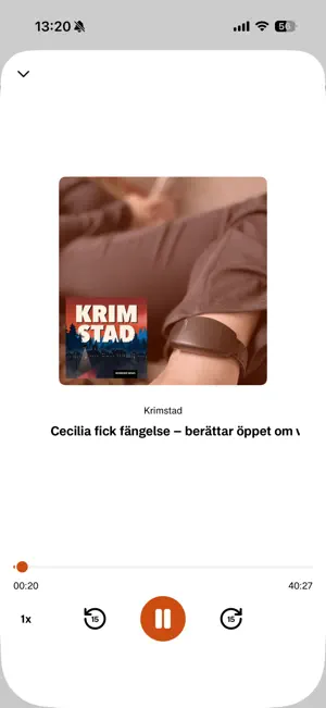 Skånska Dagbladet screenshot 3